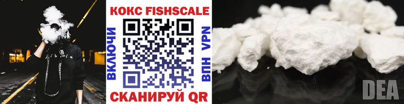 Купить закладки  Псков  Cocaine FishScale 