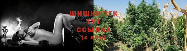 PSILOCYBIN Каменск-Шахтинский