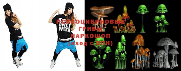 прущая мука Каменка