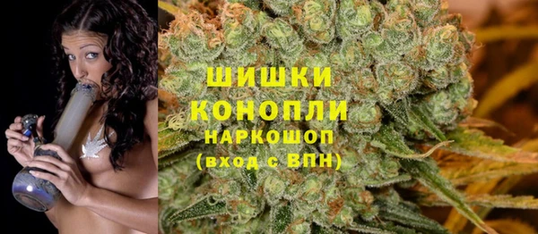 PSILOCYBIN Каменск-Шахтинский