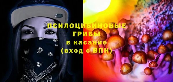 PSILOCYBIN Каменск-Шахтинский