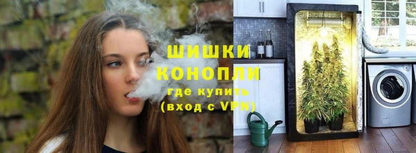 PSILOCYBIN Каменск-Шахтинский